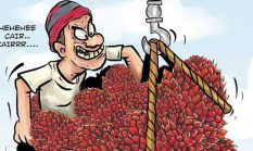 Seorang Warga Dipolisikan Karena Diduga Mencuri Sawit