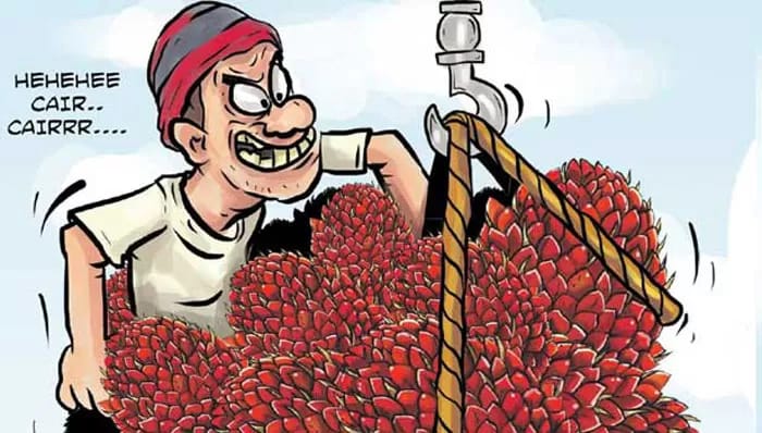 foto slider headline