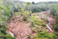 Foto: Kebun warga Bungo di duga rusak akibat limbah tambang(ist)