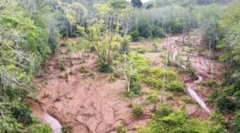 Foto: Kebun warga Bungo di duga rusak akibat limbah tambang(ist)