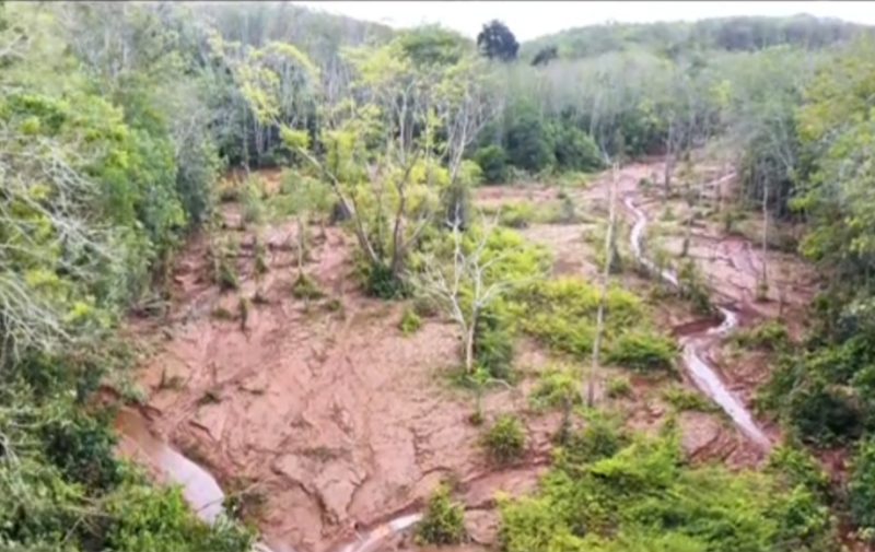 Foto: Kebun warga Bungo di duga rusak akibat limbah tambang(ist)